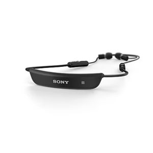 Sony Wireless Stereo Bluetooth Headset SBH80