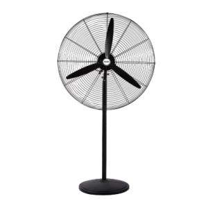 Stand Fan